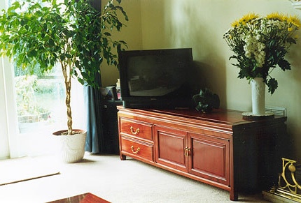 Bespoke rosewood TV cabinet